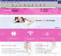 Donor Eggs<br>Dr Joel Bernstein