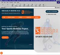 Michael P. Hoenig M.D.