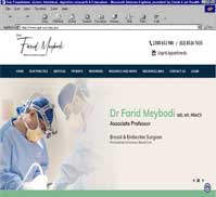 A/Prof Farid Meybodi